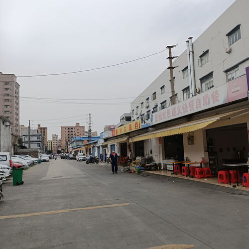 東莞轉(zhuǎn)型 從“世界工廠”到創(chuàng)新高地的蛻變之路